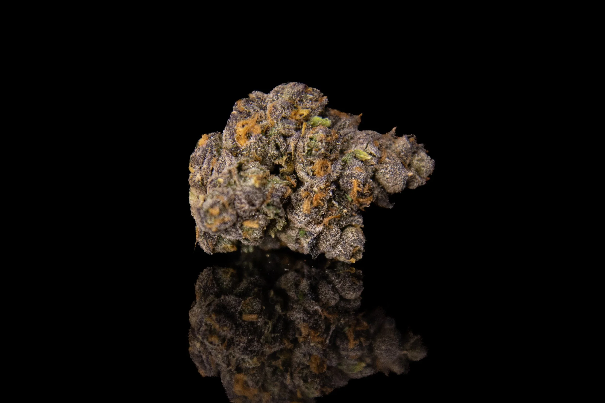 Pennsylvania Cannabis Medical Marijuana Strains — Maitri Medicinals