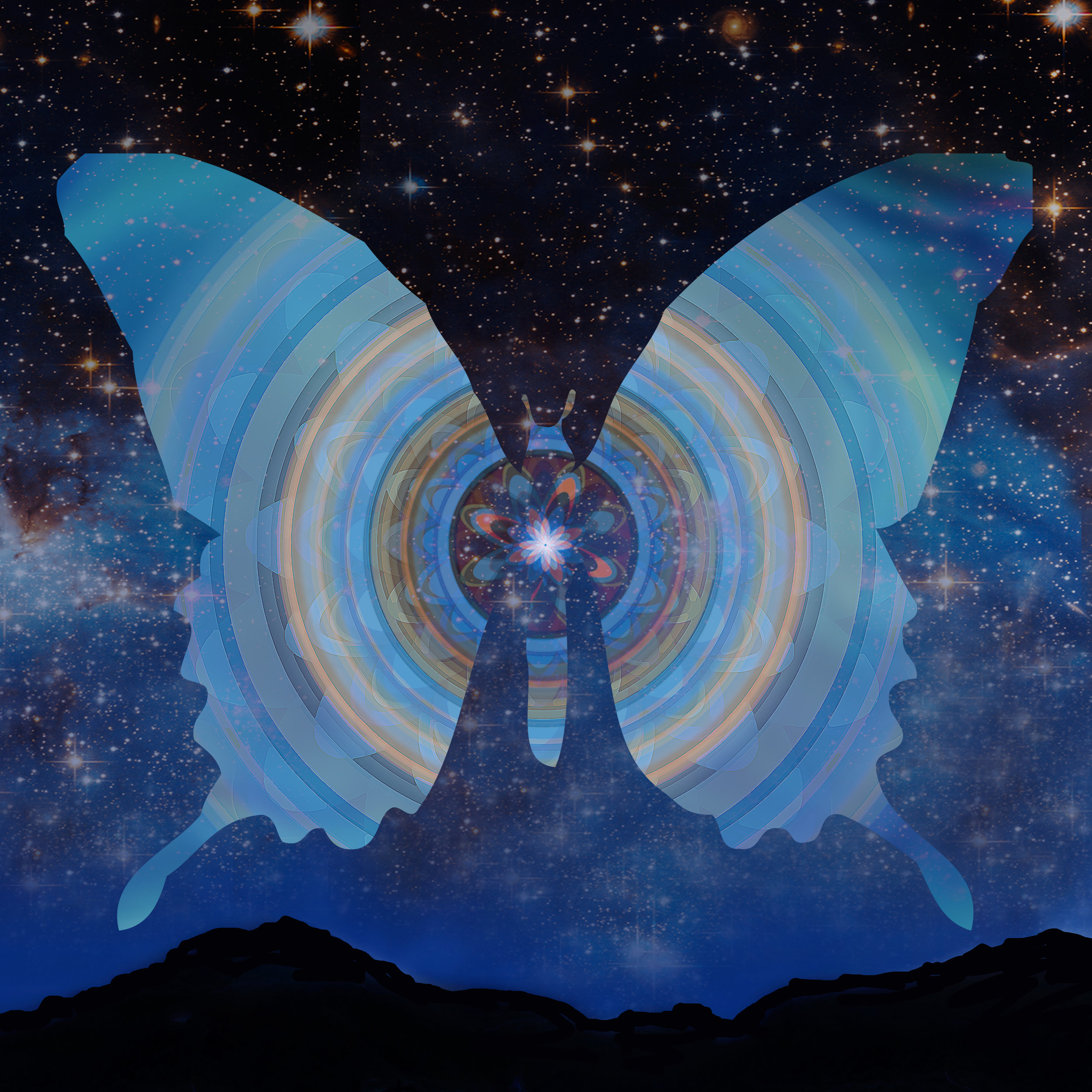 20x20_StellarButterfly.jpg