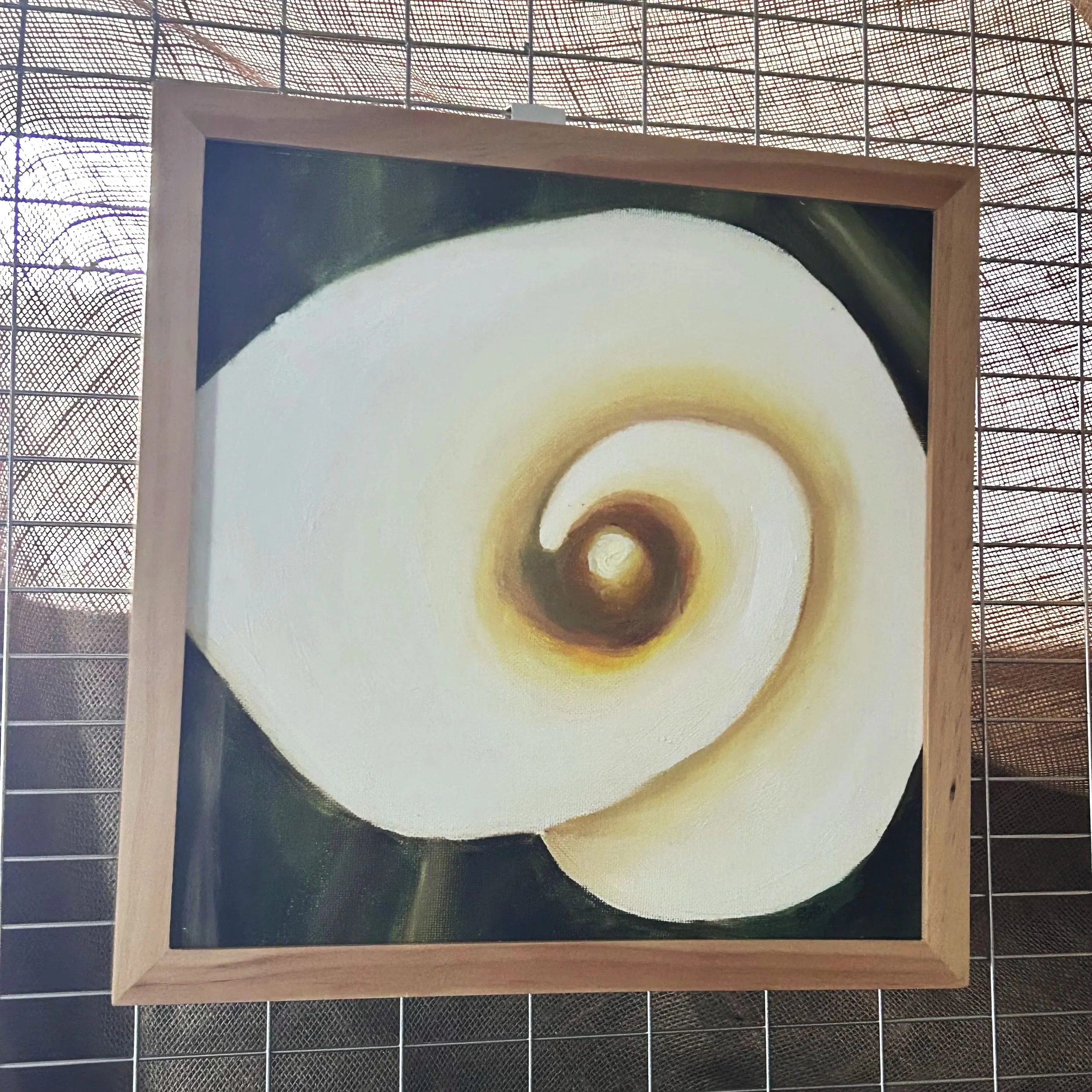 Calla Lily Study