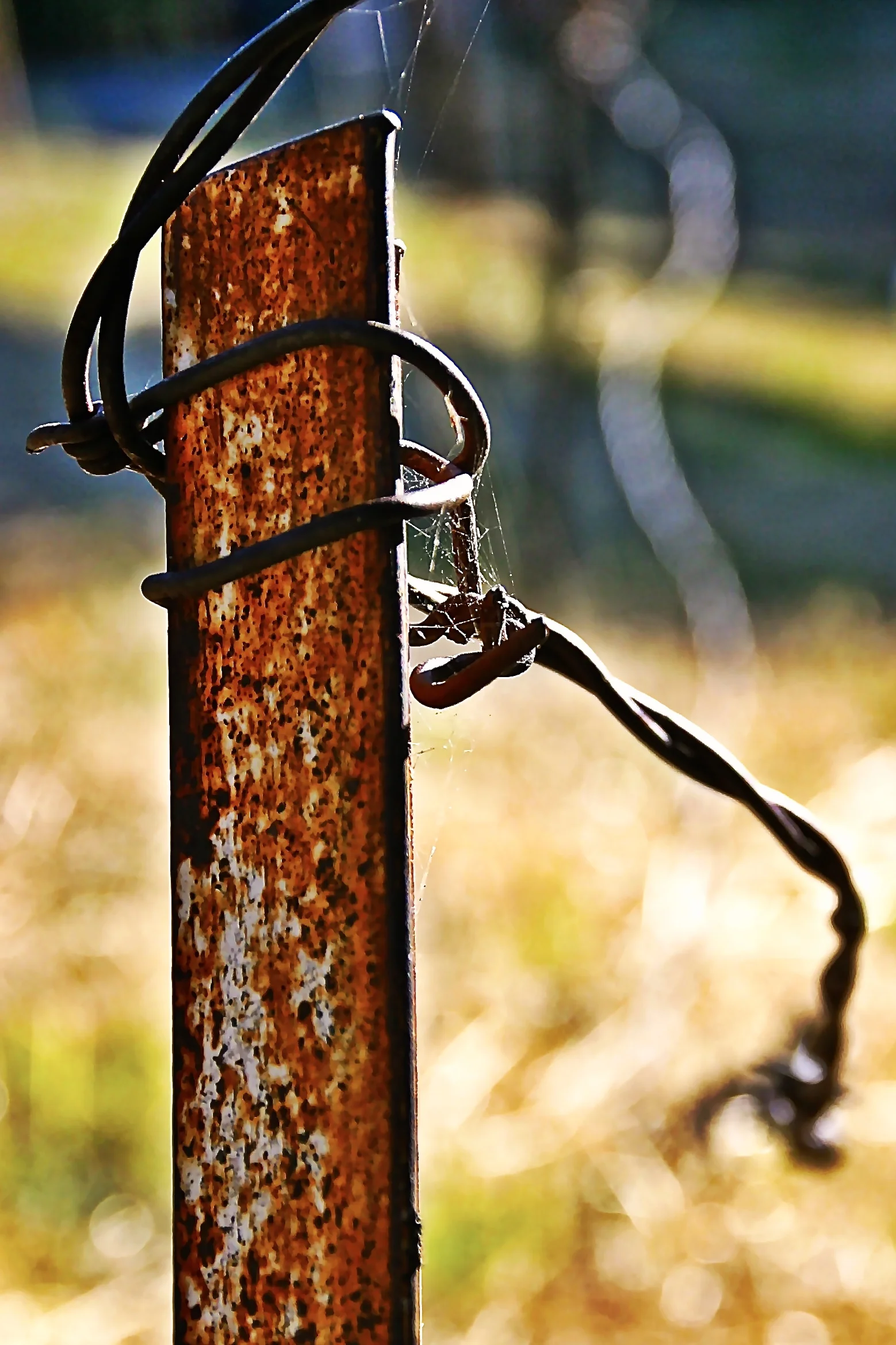 fence-idyllwild.jpg