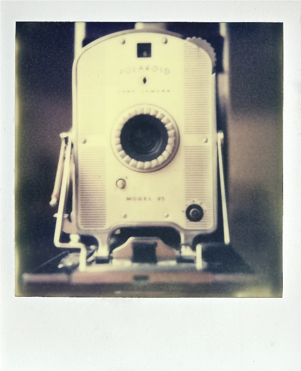 polaroid.JPG
