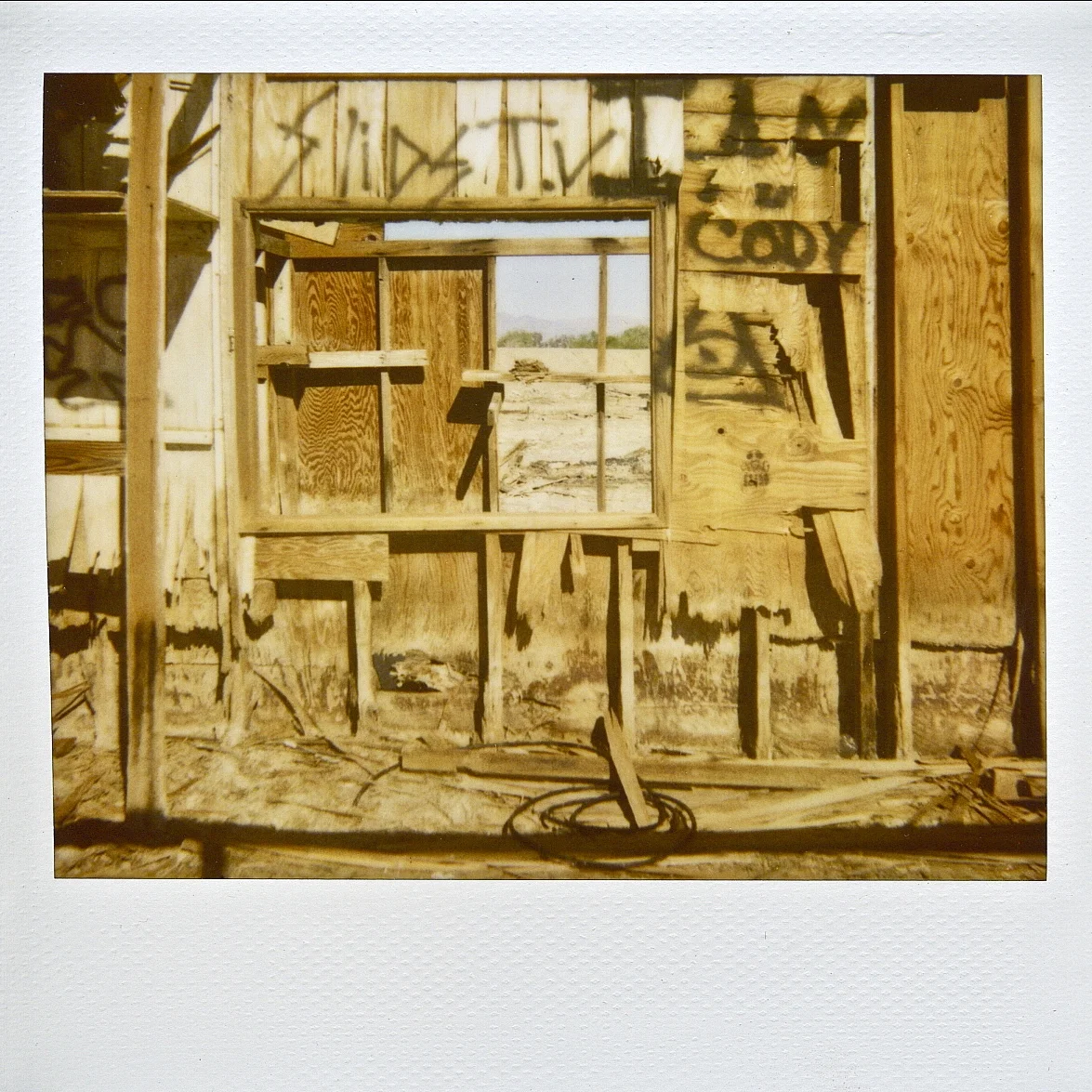 Salton-Sea-Polaroid.JPG
