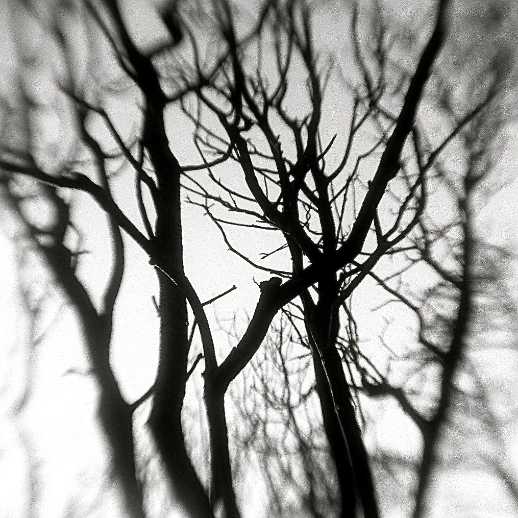 Brownie-Hawkeye-flipped-lens-7.jpg