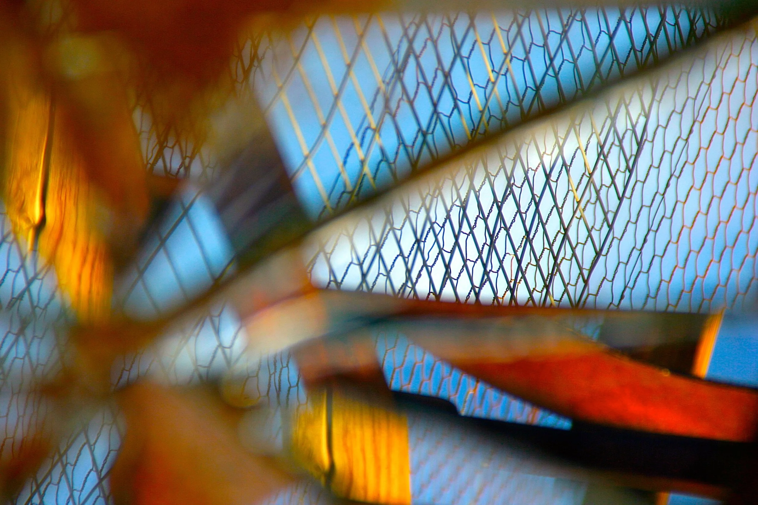 Shifting Sands: Photographs by Caryn Gilbert