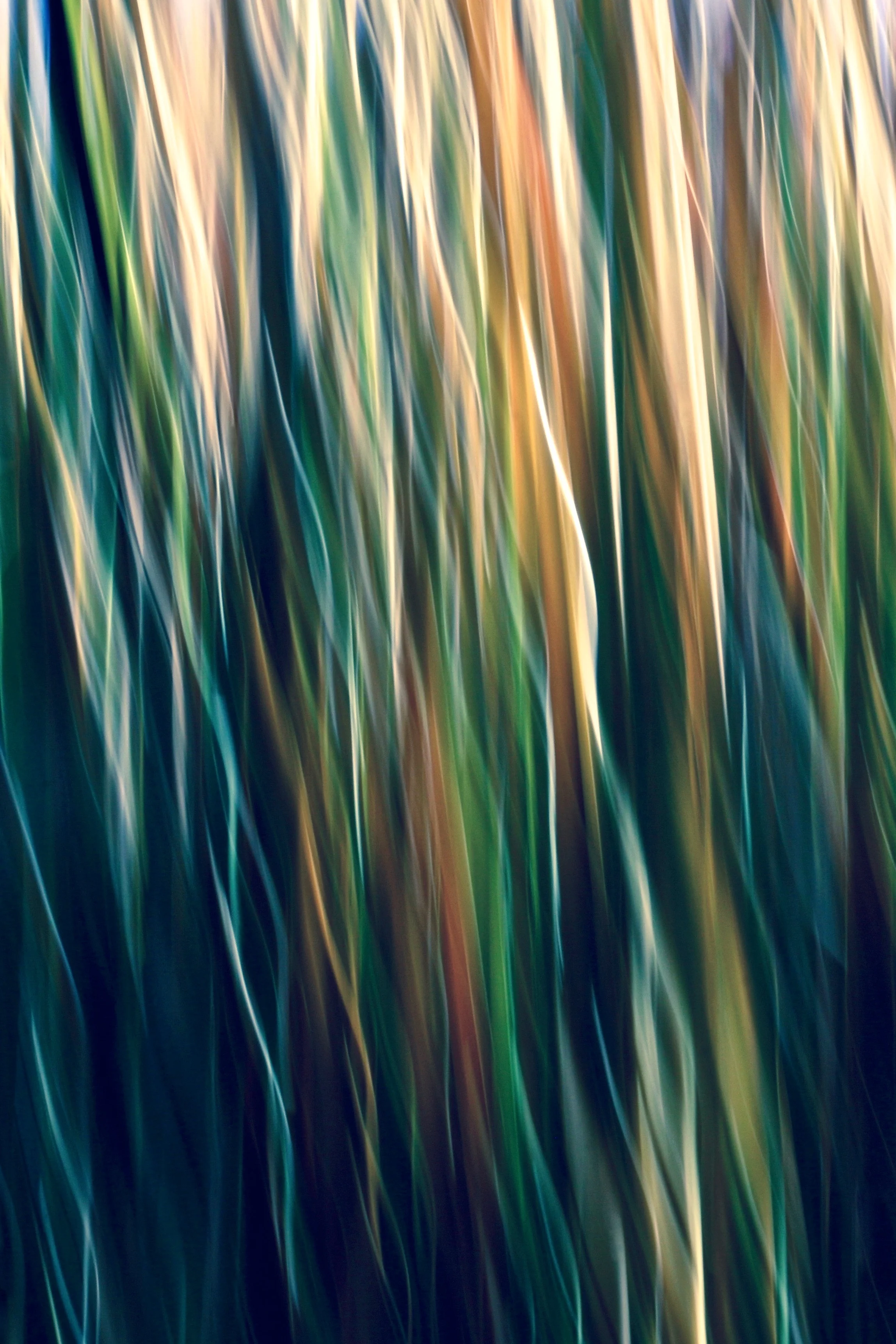 grass-green-fulmor-final.jpg
