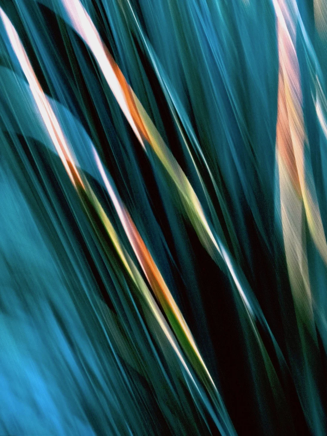 green-abstract-final-2 3.jpg
