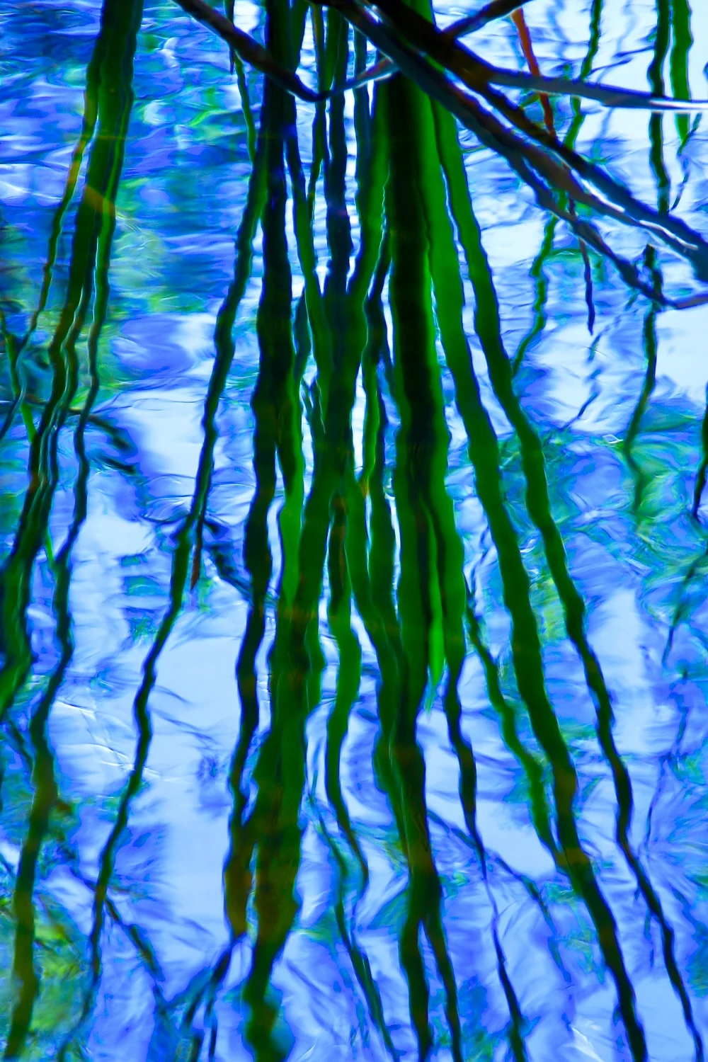 Reflectionsof LakeFulmor.jpg