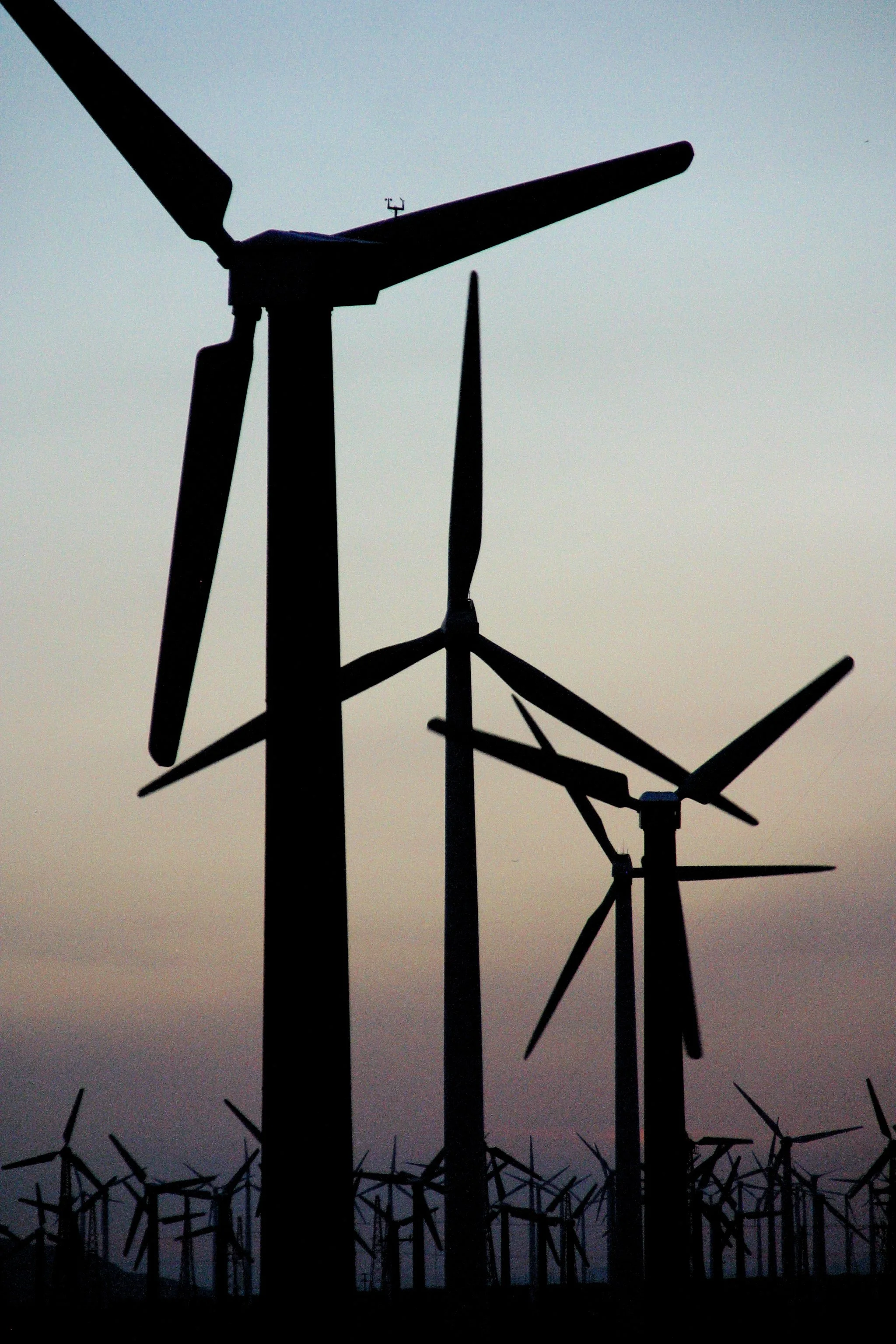 windmills.JPG