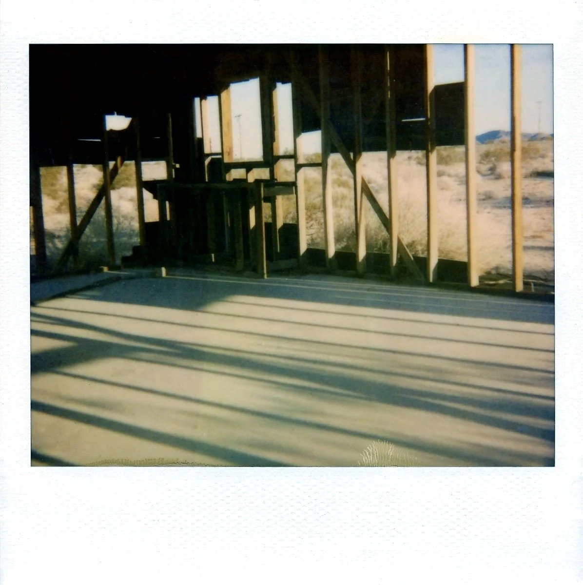 polaroid-jackrabbit-homestead 2.jpg