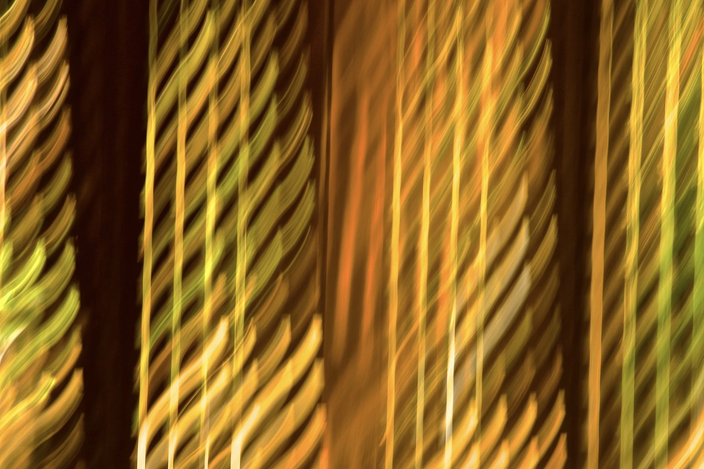 CEUOE2168 2.JPG
