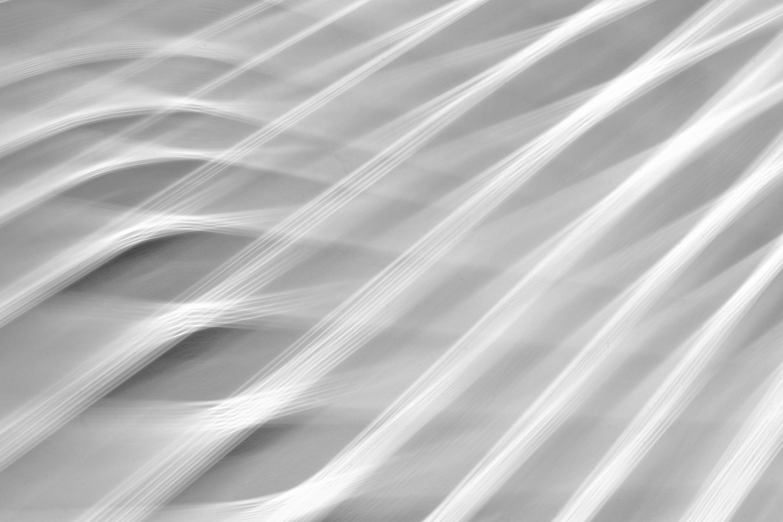 palm-frond copy.JPG