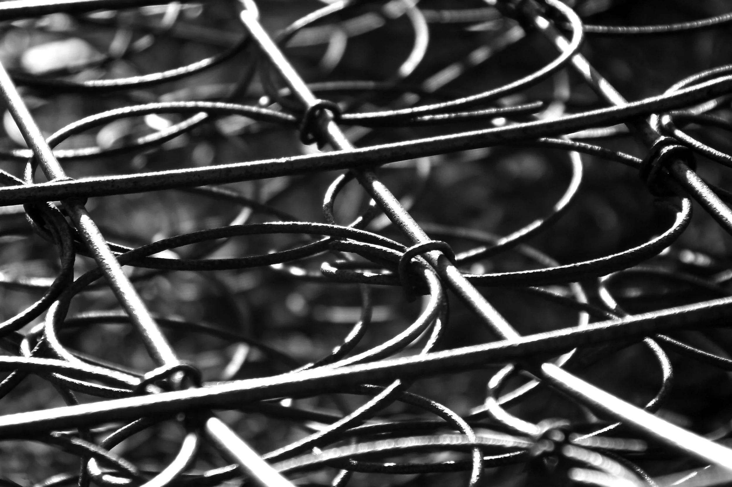 abandoned-bedspring 2.JPG