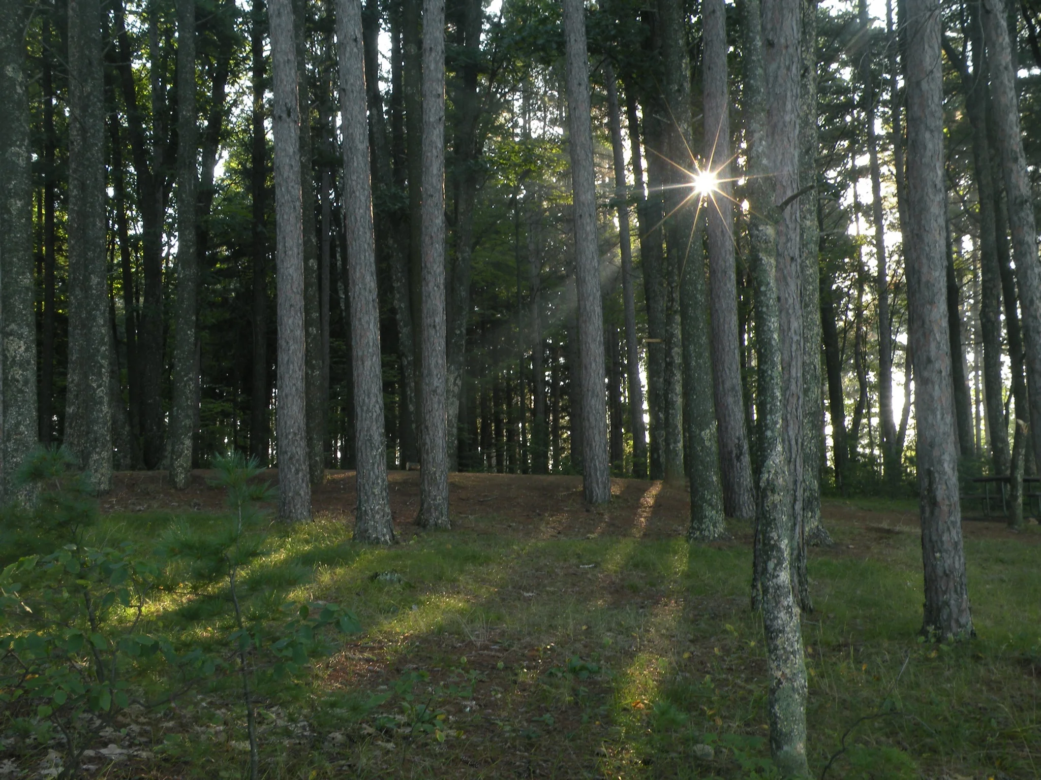 DSCN0829.jpg
