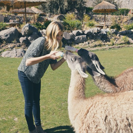 Screen Shot 2017-04-14 at 12.29.44 PM.png