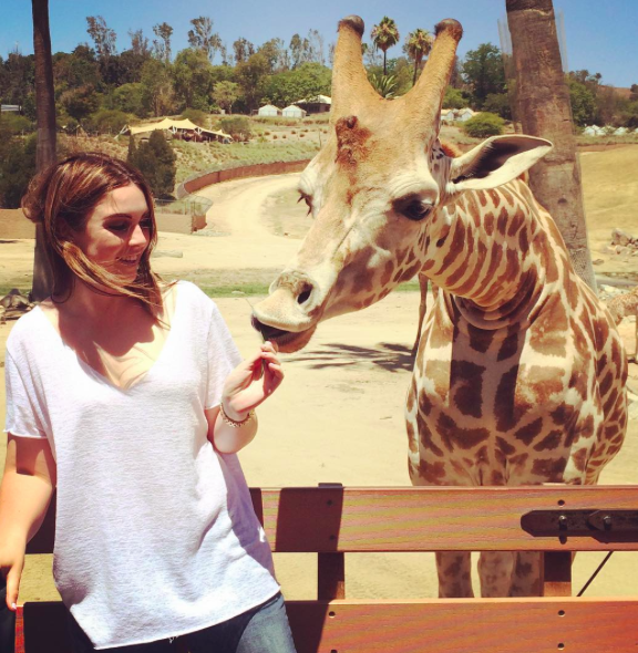 Screen Shot 2017-04-14 at 12.37.06 PM.png