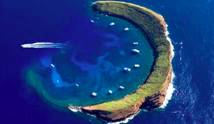 Screen Shot 2017-05-19 at 1.28.37 PM.png