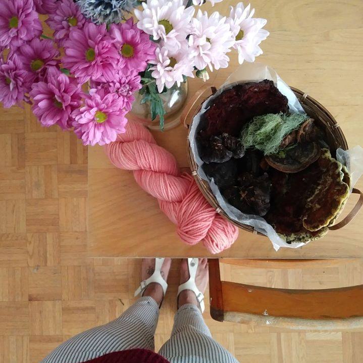 Rose bonbon d'un bain d'épuisement de racines de garance et champignons teinturiers