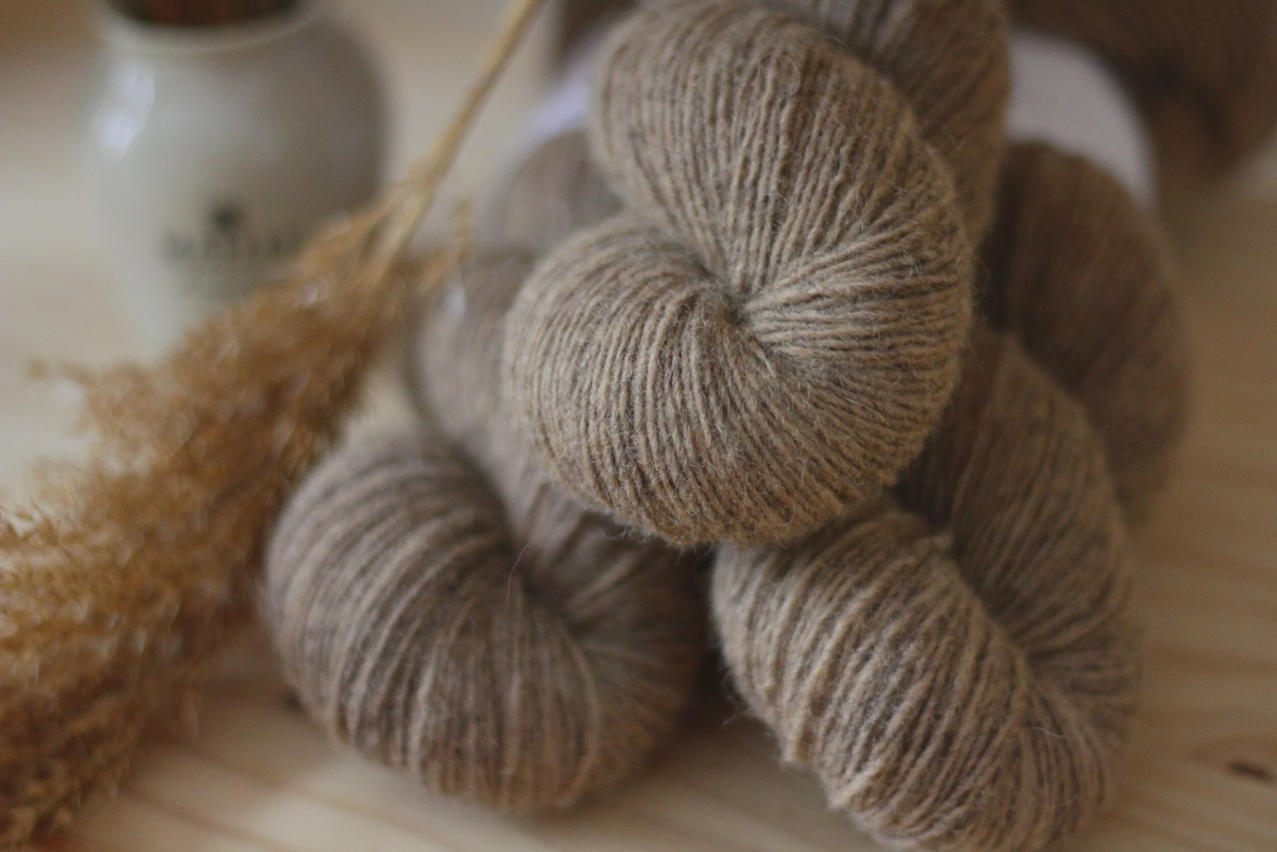 Fleurs &amp; Brindilles