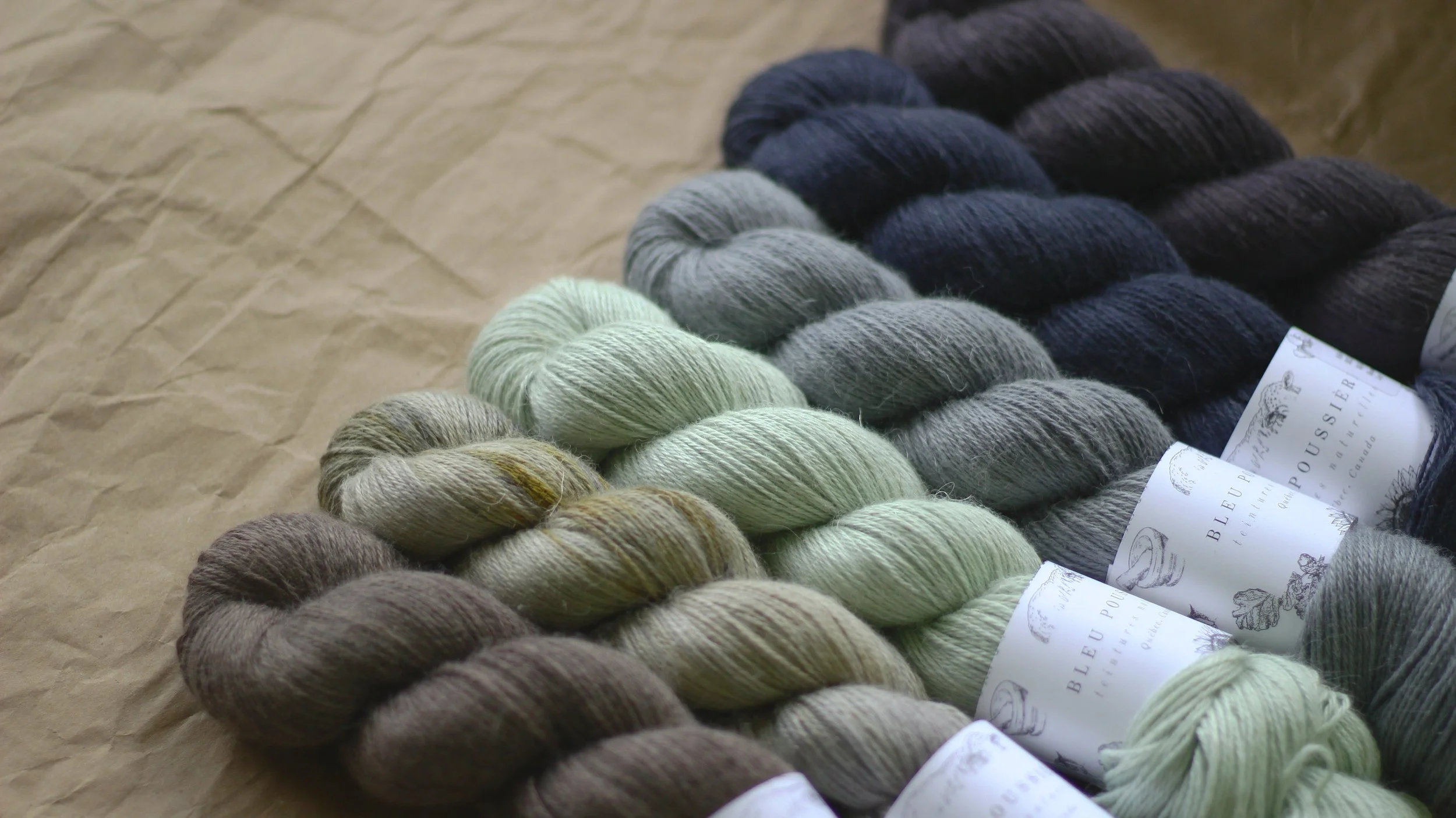 Mise à jour de boutique