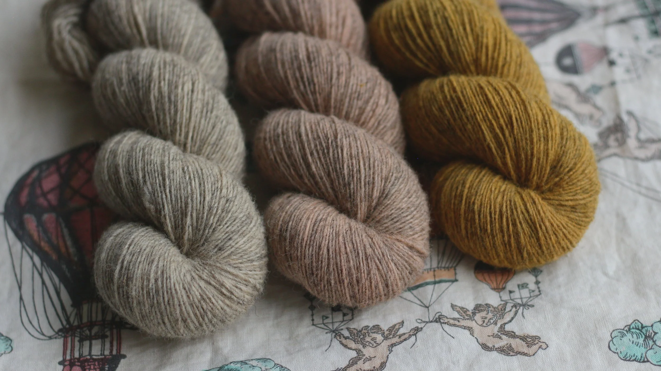 Murmures, Roseanne, Lune de Miel