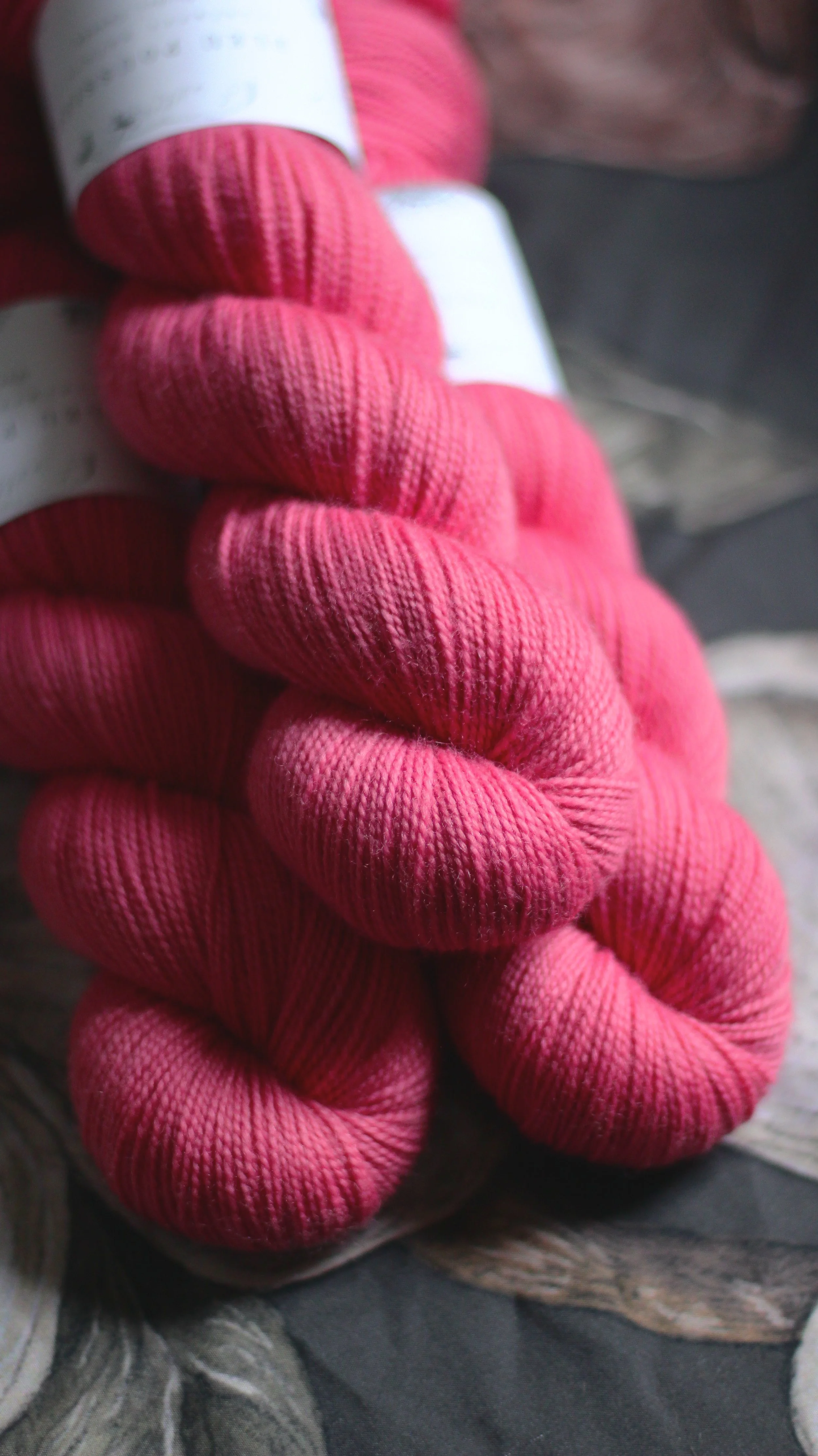 PIED BLEU - Rose Minoune