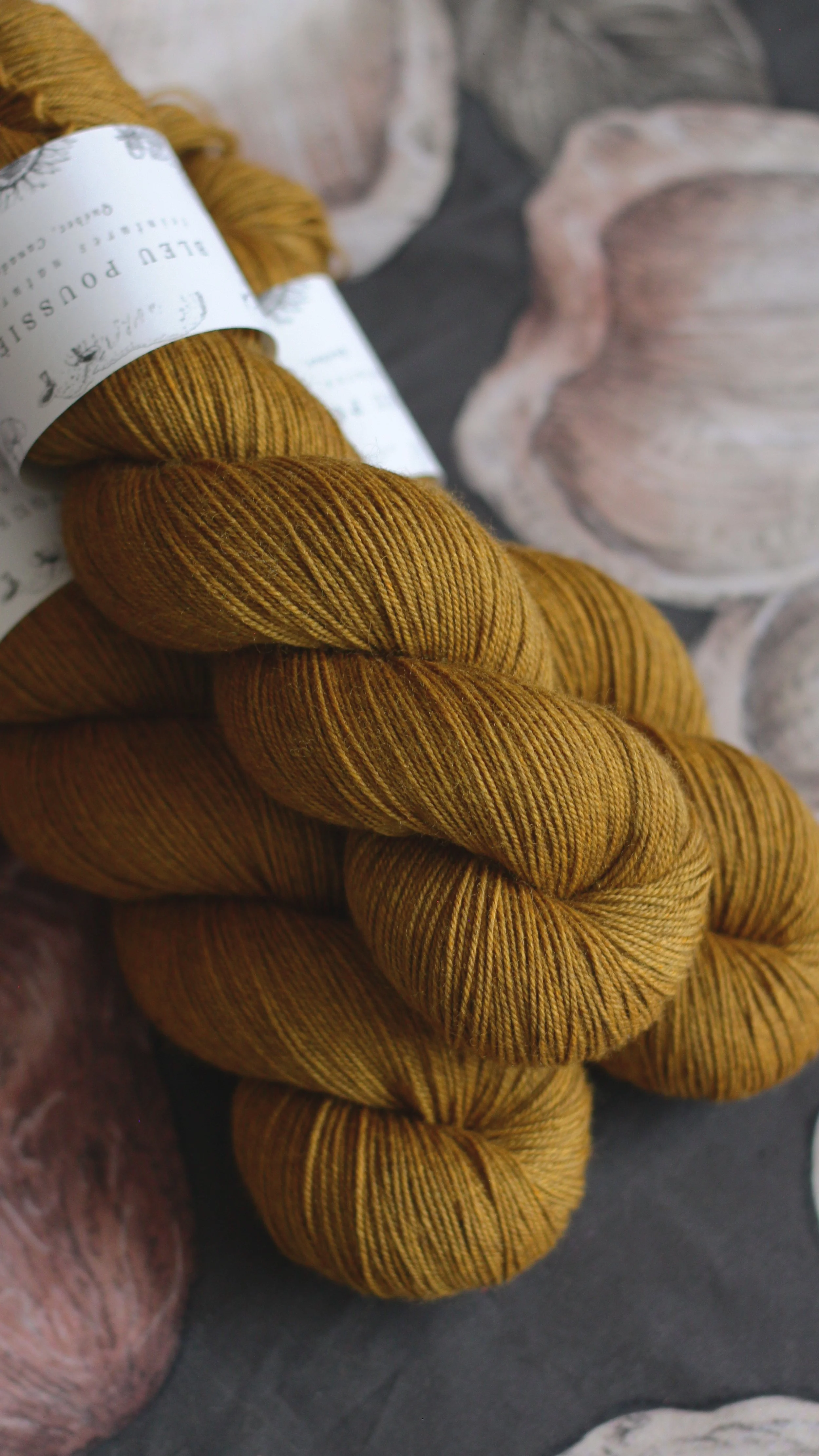 YAK SOCK - l'Étoile des Mages