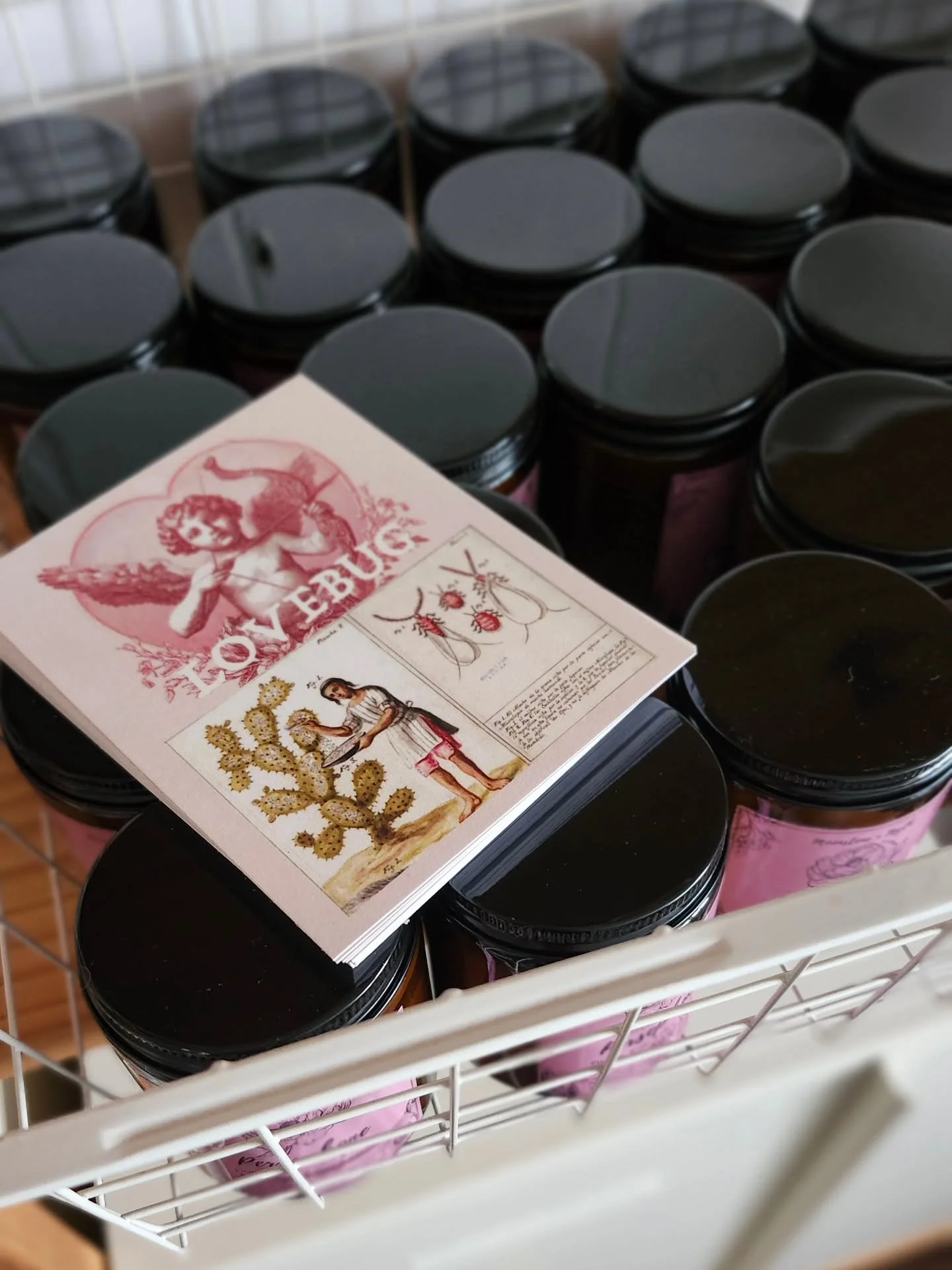 Dans les derniers pr&eacute;paratifs de la bo&icirc;te de St-Valentin LOVEBUG ! Il me reste quelques bo&icirc;tes d&rsquo;extra disponibles sur la boutique en ligne et je dis &ccedil;a je dis rien, mais c&rsquo;est tr&egrave;s beau 🧚🏽&zwj;♀️💕