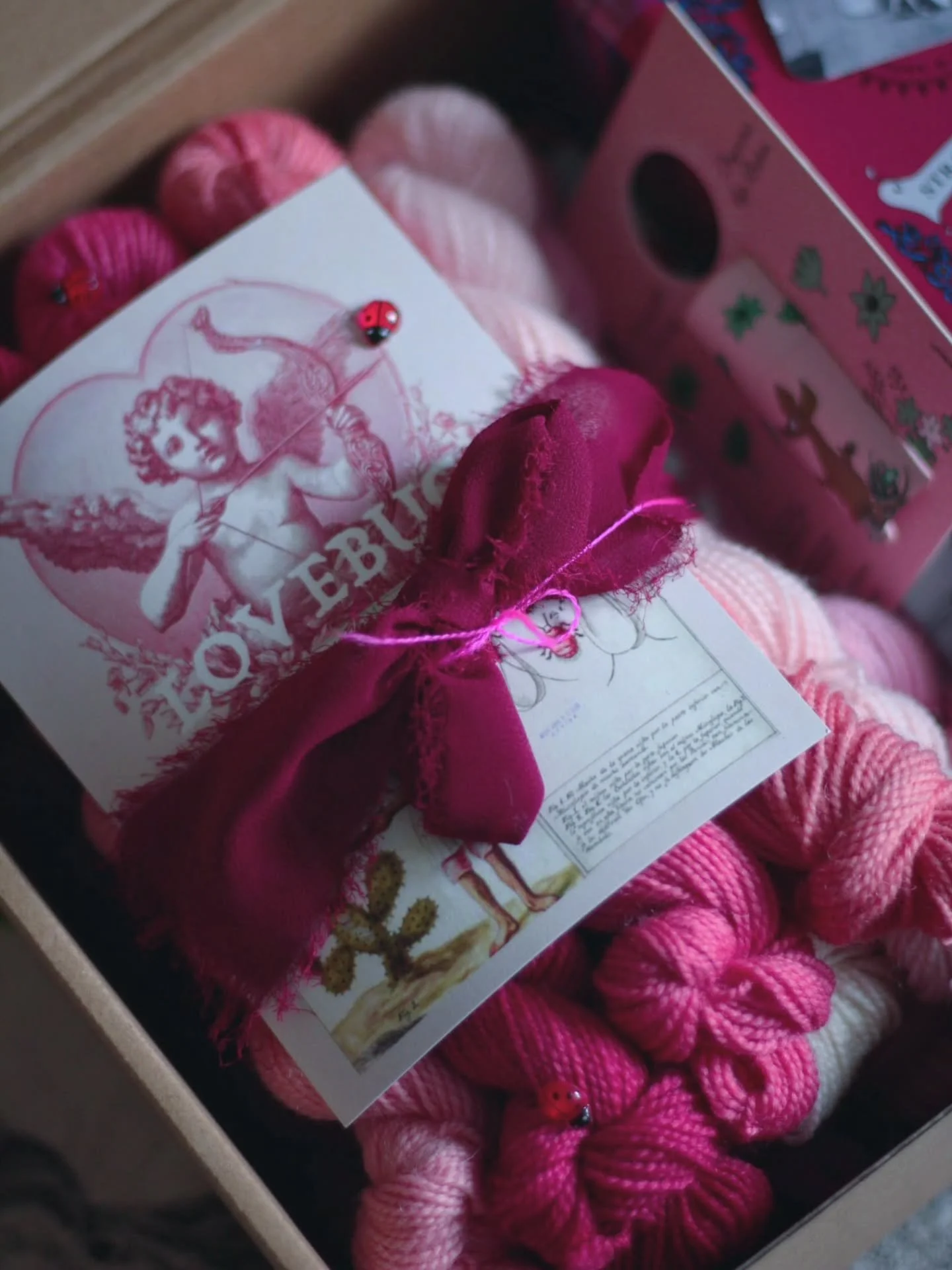 Pour la St-Valentin 2026, je vous ai propos&eacute; Lovebug, une bo&icirc;te myst&egrave;re de 12 minis &eacute;cheveaux de la base Pied Bleu teints avec des cochenilles ; ce passionnant insecte qui permet de teindre naturellement d&rsquo;illustres n