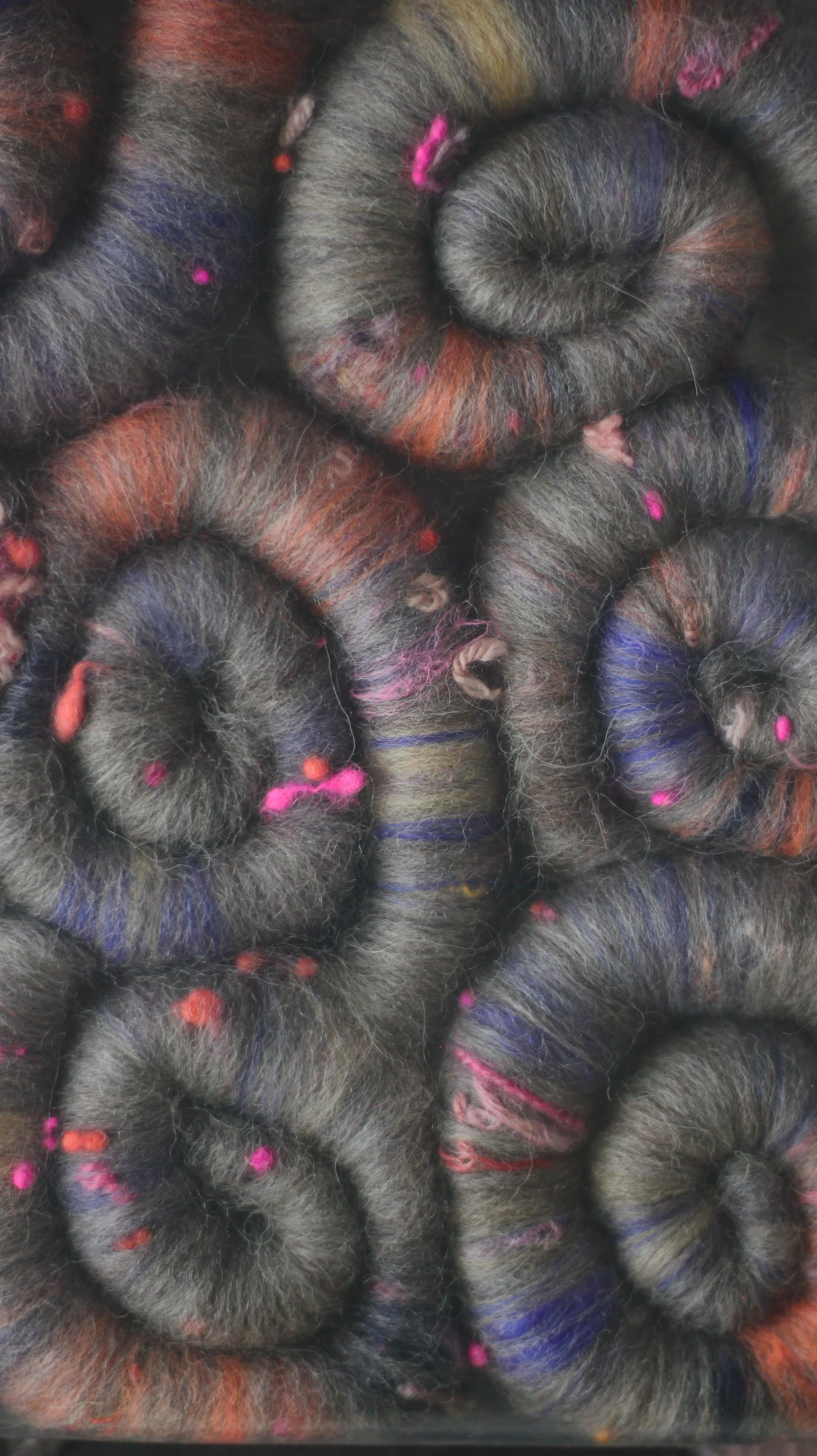 ROLAGS | Knickerbockers