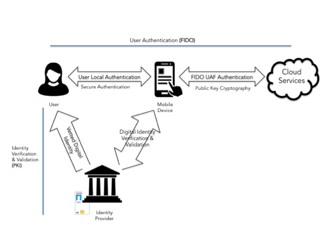Figure1.png