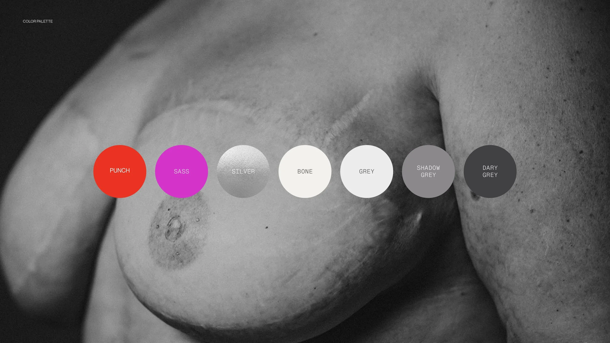 Artboard 4@3x-100.jpg