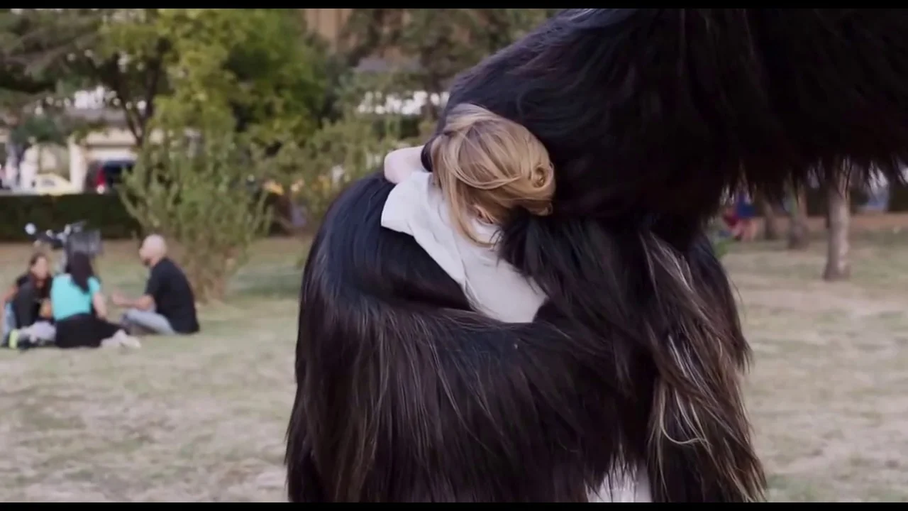 Image is from Maren Ade’s “Toni Erdmann” which is my absolute favorite of the year. 