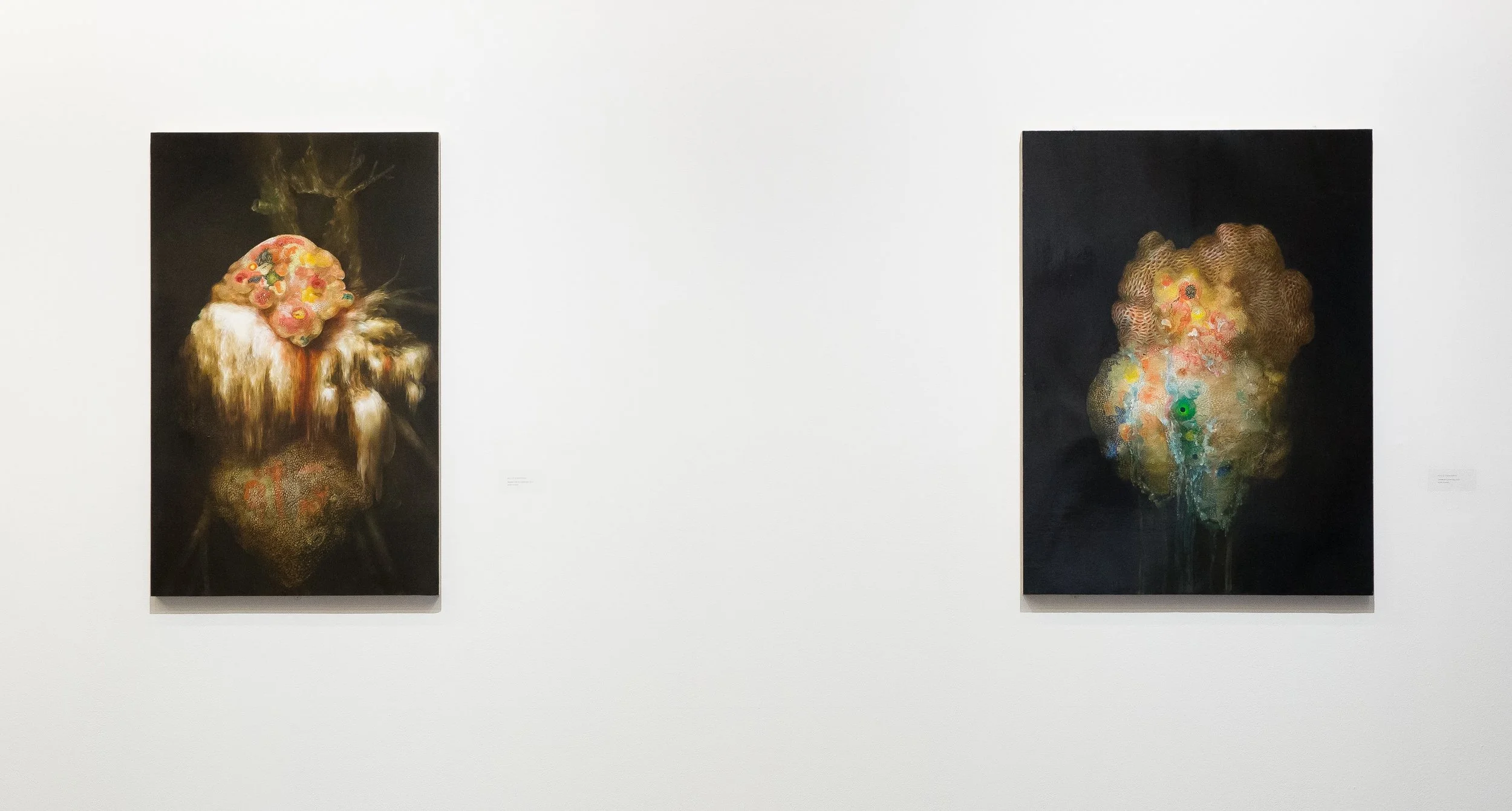exhibition photo from “Pushing Painting” at David Winton Bell Gallery, Brown University