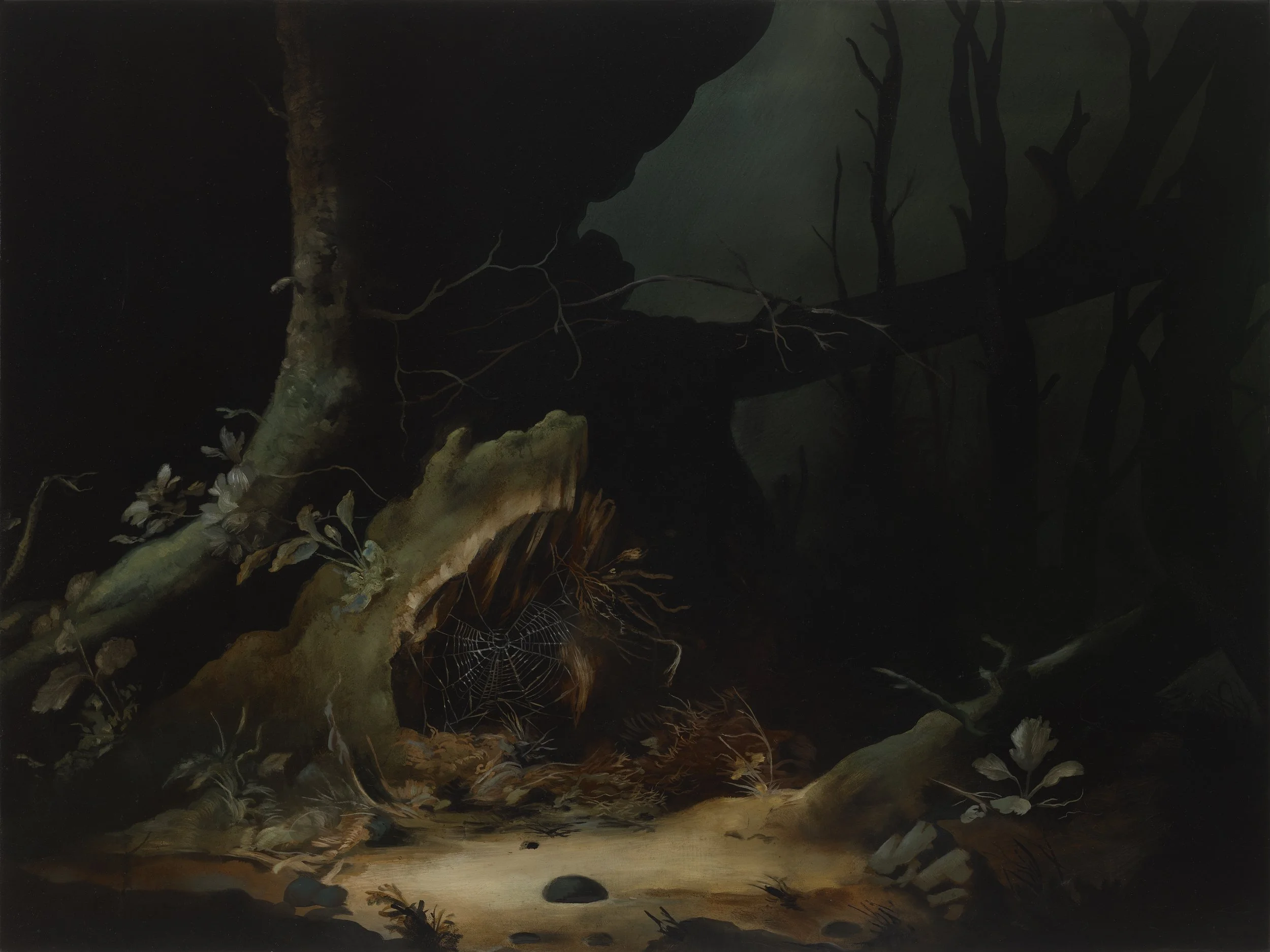 Swamp Structure (5)