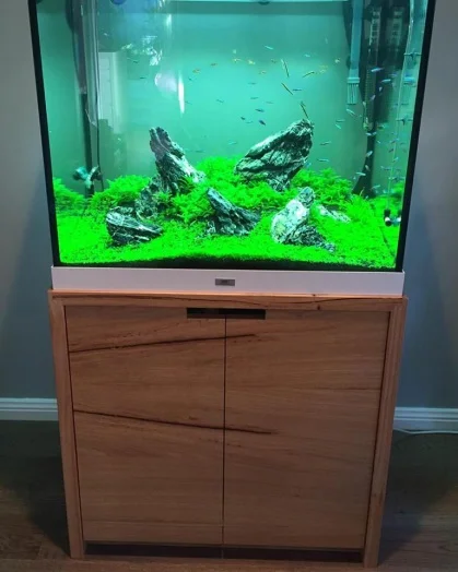 Fishtank.jpg