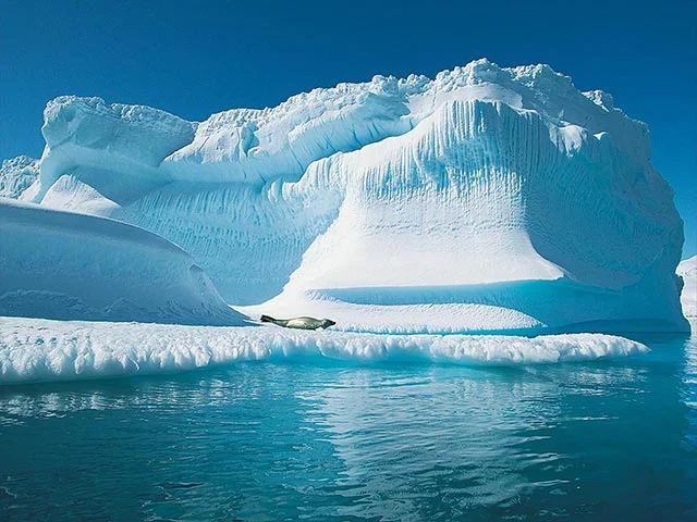 Iceberg-12-19-16.jpg