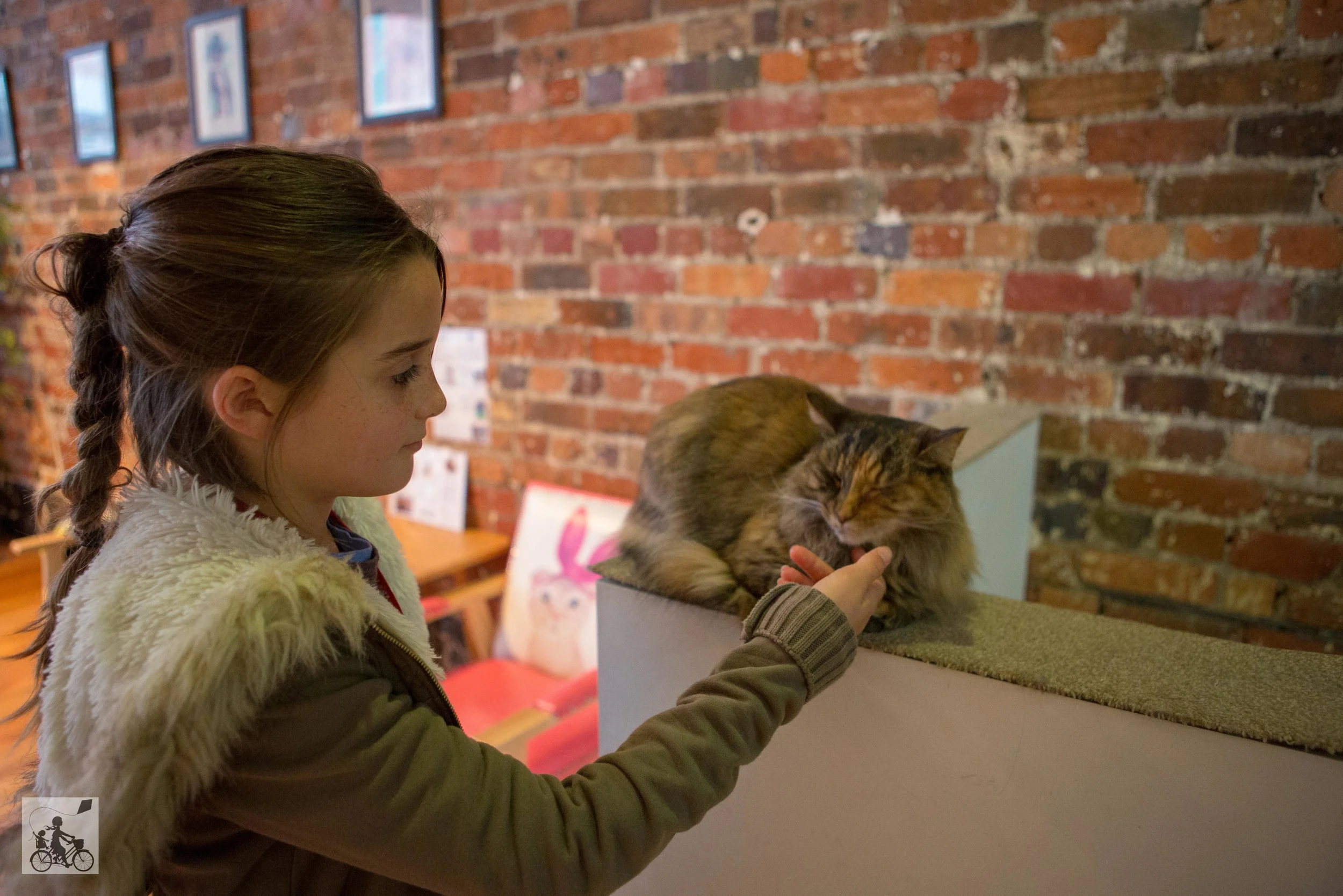 cat cafe, melbourne - mamma knows melbourne