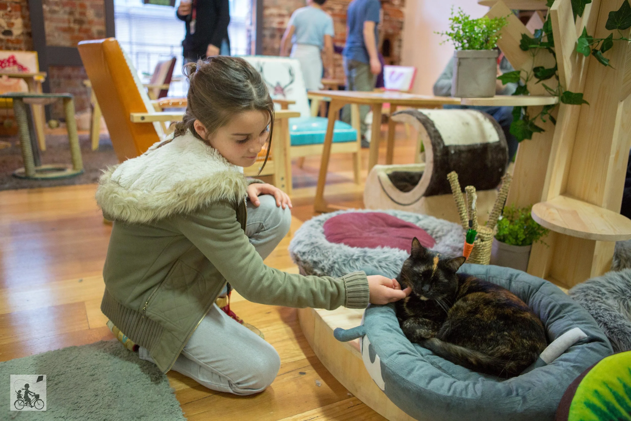cat cafe, melbourne - mamma knows melbourne
