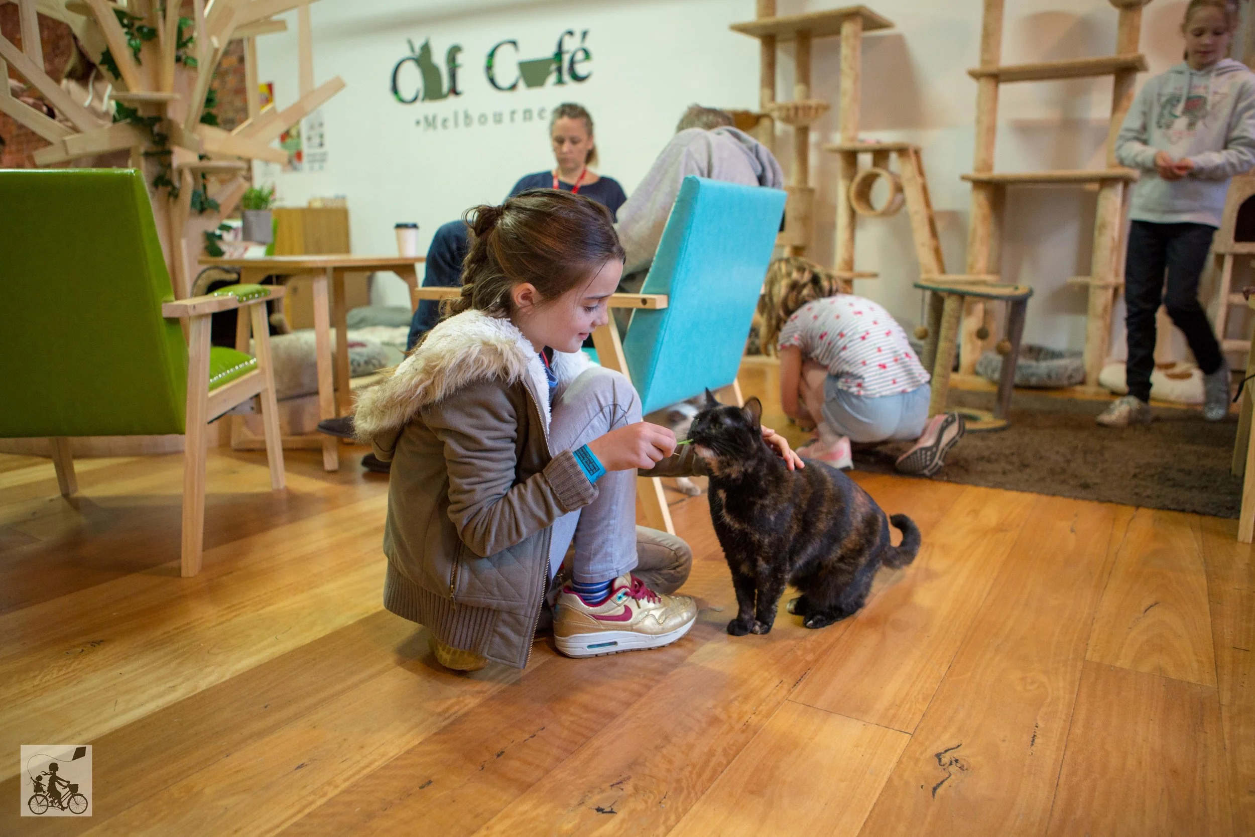 cat cafe, melbourne - mamma knows melbourne