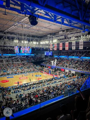 mamma's tips for heading to the basketball