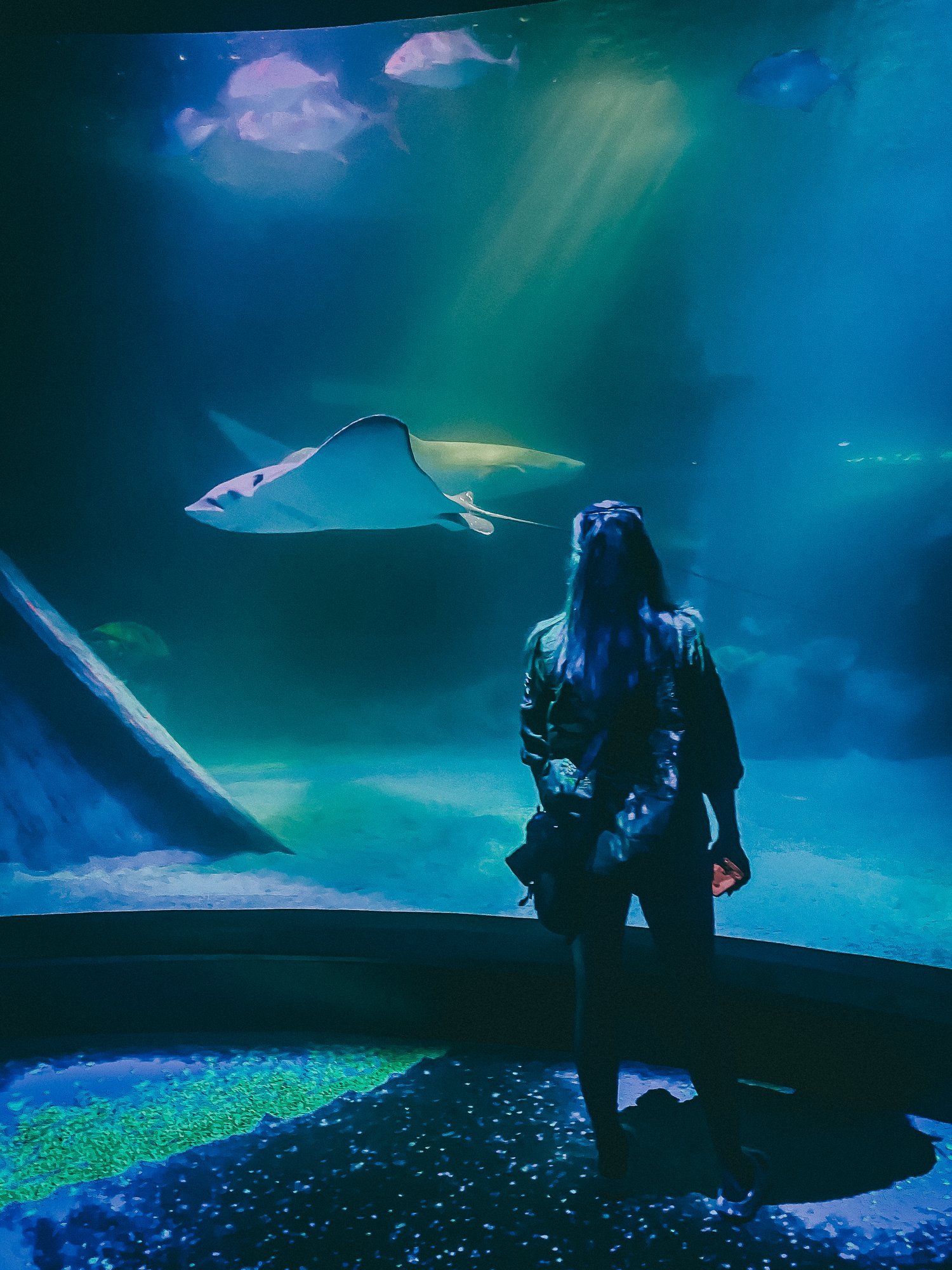 Sealife Aquarium