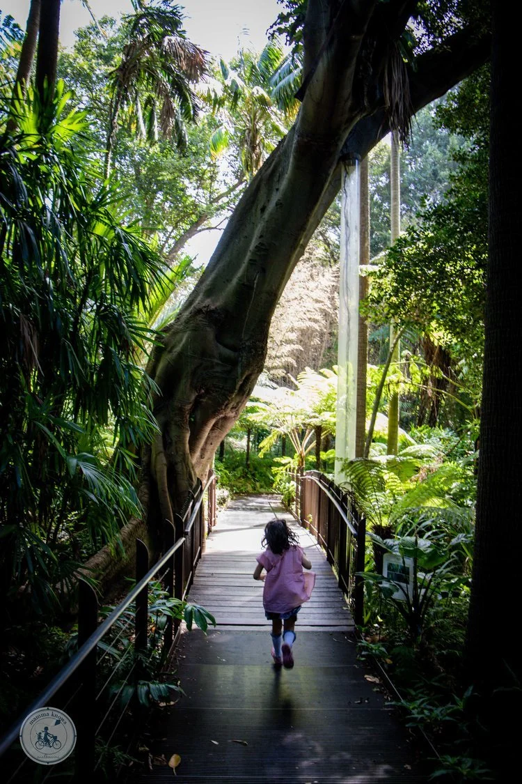 FREE Royal Botanic Gardens