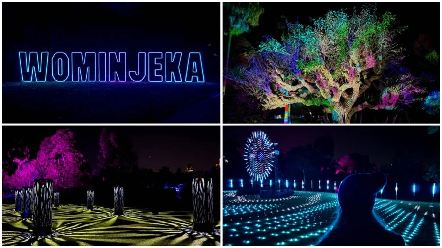 lightscape @ the royal botanic gardens victoria