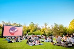 Moonlight Cinema