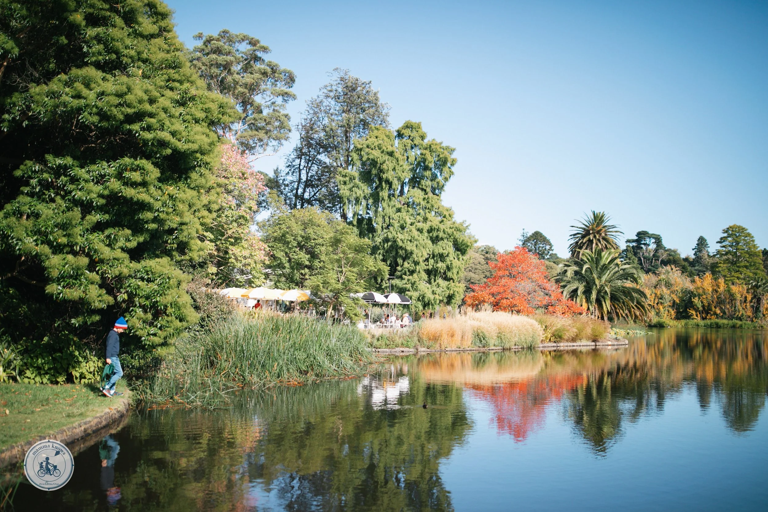 royal botanic gardens the terrace and the punt mamma knows melbourne copyright-4.jpg