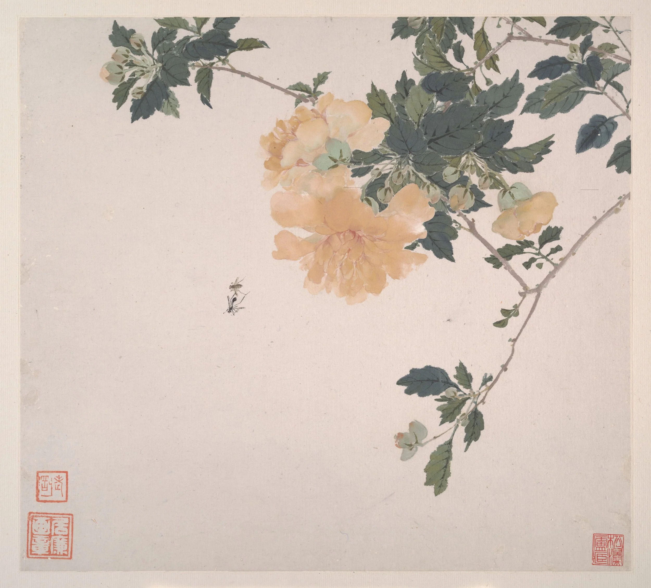 Insects and Flowers Ju Lian.jpg