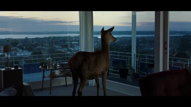 Nocturnal Migration - Tooheys Extra Dry