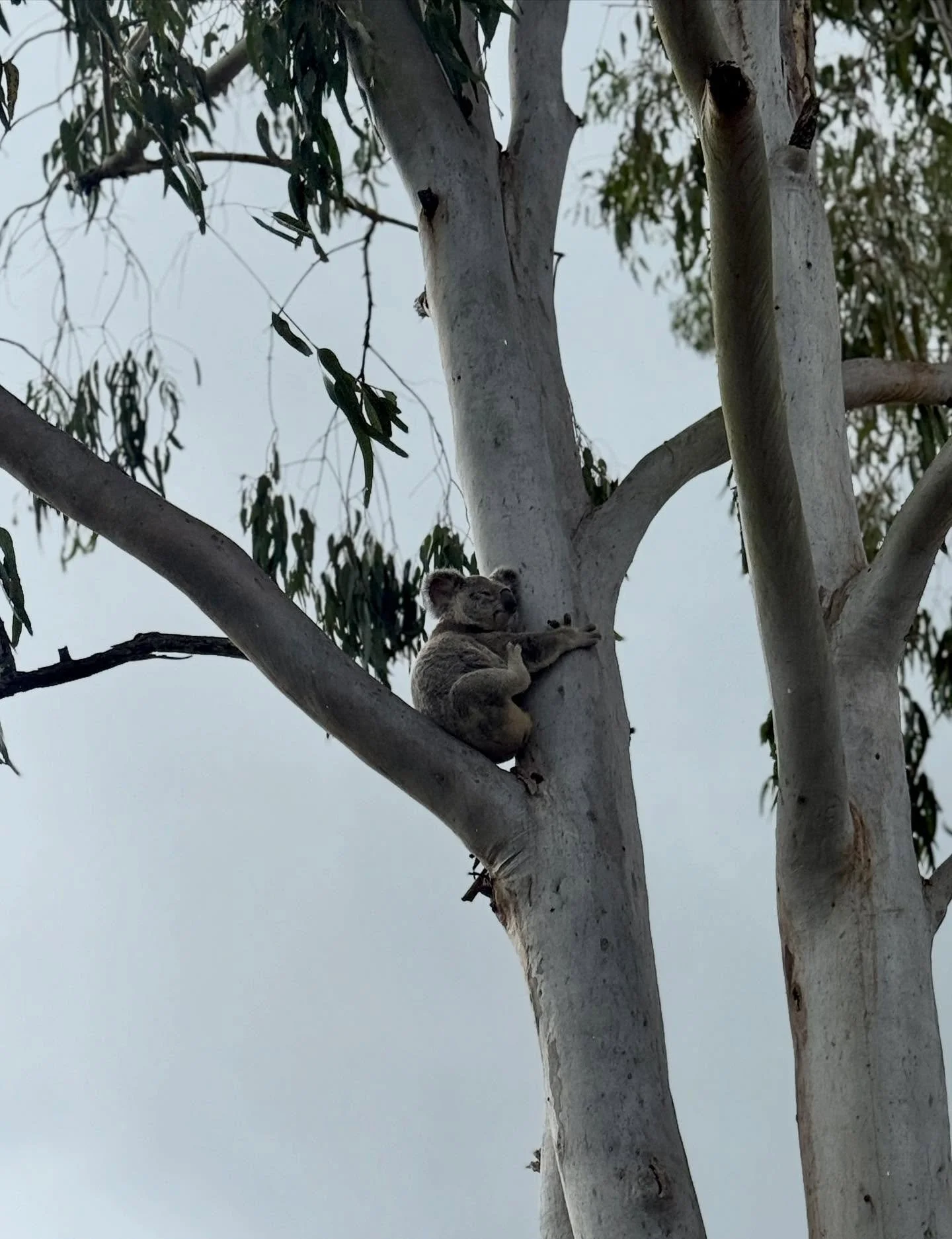 It&rsquo;s real, honest