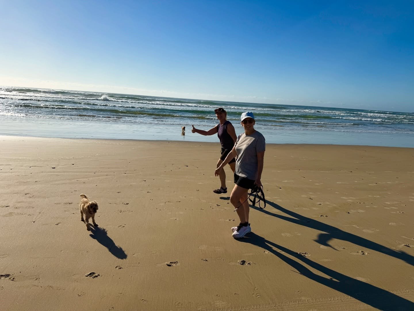 Early beach run&hellip; the dogs anyway