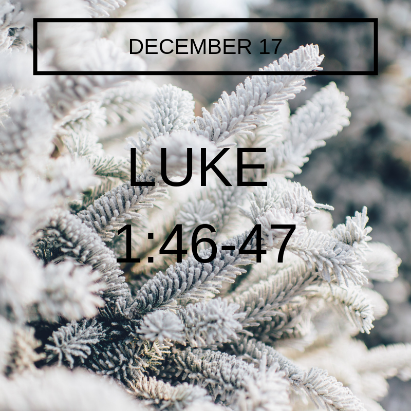 12 days of christmas -8.png